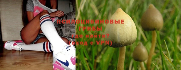 спайс Богданович
