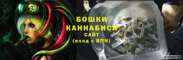 спайс Богданович