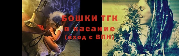 спайс Богданович