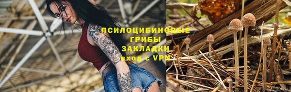 apvp Семёнов