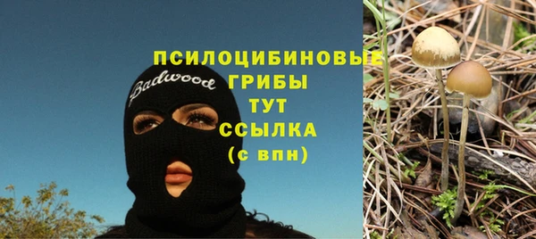 мдма Богородск