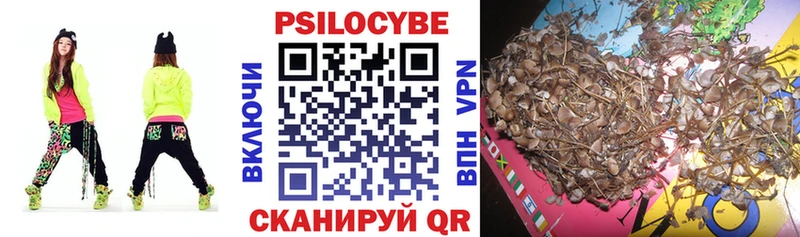 Псилоцибиновые грибы прущие грибы  дарнет шоп  гидра ONION  Мглин 