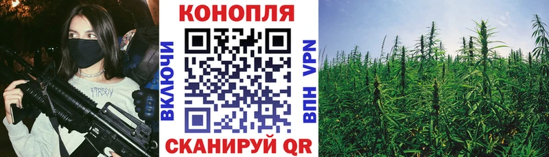 Канабис индика  Мглин 